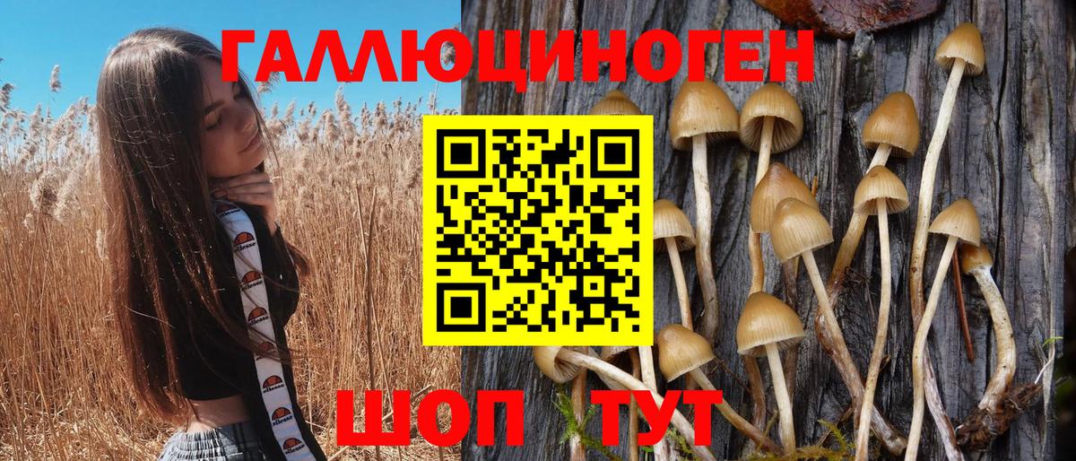 Галлюциногенные грибы Cubensis  Галлюциногенные грибы Psilocybine cubensis  Луховицы  Вход с VPN 